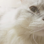 92a569325e91c702f406f24056ee9a57