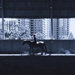 Ce93578cd4a7490a7d1c00da51ab5417