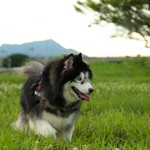 Ad720ce22ac41c8ff8a9cb8aa43eede6