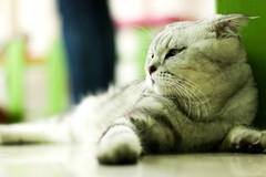 37f315fc47905e4cc4a24aa1296525fe