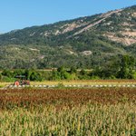 C2c0bae3c7792ec25102be2039740202