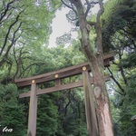 621618e9b4a8524de0c3188d5fc896de