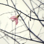 9b12efe8aeafbc6be4e28035cf3ee544