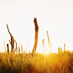 9a44f775f2592f5611a1ad4cd9db4623