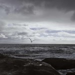 C5be04b88652dbf20f75e2e2b95c91a4