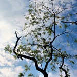 B3a72150dbc93d3c3eb662b3d439214f