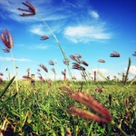 09efa330cda4b65b628fe511c965f978