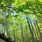 Bc8fe36b0ed9149fd822b0ab4bae9f97