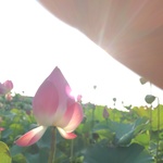 2519a0445598e4b5ddc1a11bc1977c0b