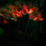 2218b90307e04b296e7a116e0b50a4ba