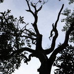 B037b8ec251dba1beb9ac53c08142c49