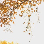 90145f9ac308dd85debae4588d55571b