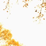 Ff0483b1197ef63b94b3b8c4fcd9461d