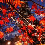 753220956f496e193a25f16c89cd6fe7