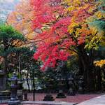 A313d5db21052bcd7d54b41df38fc9db