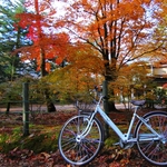 E69746f34ee3777c11357b64a19c0b5f