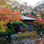 58b07da752c6bd75f041c2c8f4621207