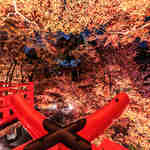 E7fd2f55e04bc750bff8596319bd54f1