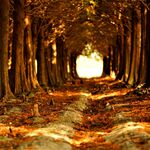 A02ad669e85e827c1066adb6b2b7f254