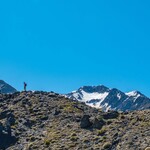 1c13bfe03edc9c45b625744a2a54c533