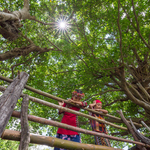 F32b73b6d6c16149ee9b13ccf78e9732