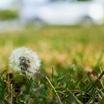 6c5e7e6efd600001adec3c380433912b