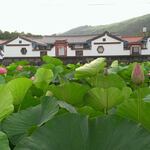 E0a390c80ee9683788be2dd31ee0aa20