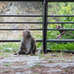 414ac2a9c1b6704485ad3c4befb2bb0f