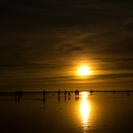 D95691358a965342be4aa8512faefbe5