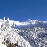 6a98fc114c70d592b287f578166f7838