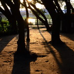 956299e2aec8798849d35bd45ceb2772