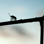 E43439aa4040dbc957e9aed1057bb79d