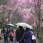 276c393b8230c6c5838fa741ee79eb05