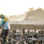 77cc39ecd380b67493a74862194db77c