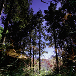 Af225e078360227a35f6a80169f7d8a7