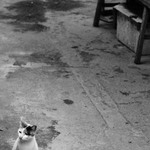 7fe2fd757b94dd3b4e5e544913660566