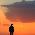 86d626b76100506526984e12b524b988