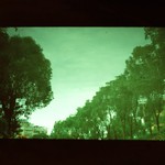 5ae83e3c598ca960de8682d938191dc6