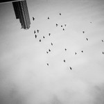 Bf3be5489d408226e0f47855aeb1deeb